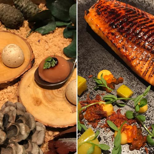 SANTERRA | Cocina de bosque bajo con mucho potencial